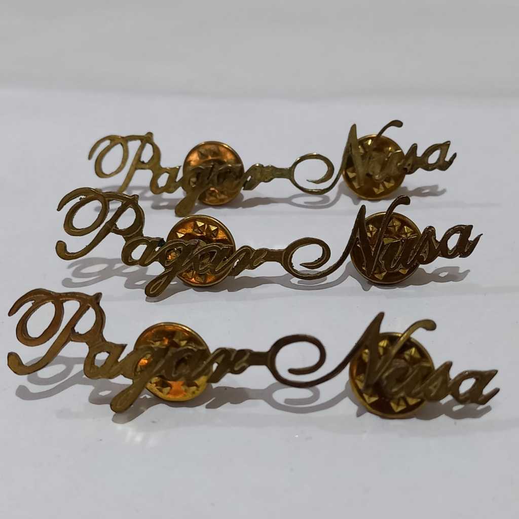 PIN PASUKAN INTI PAGAR NUSA