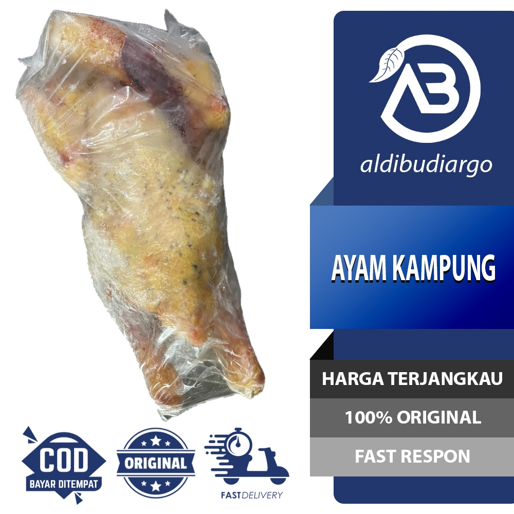 

DAGING AYAM KAMPUNG KARKAS AYAM JAGO FROZEN