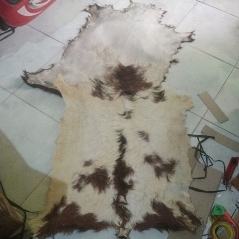 kulit / lulang kambing kering kimia