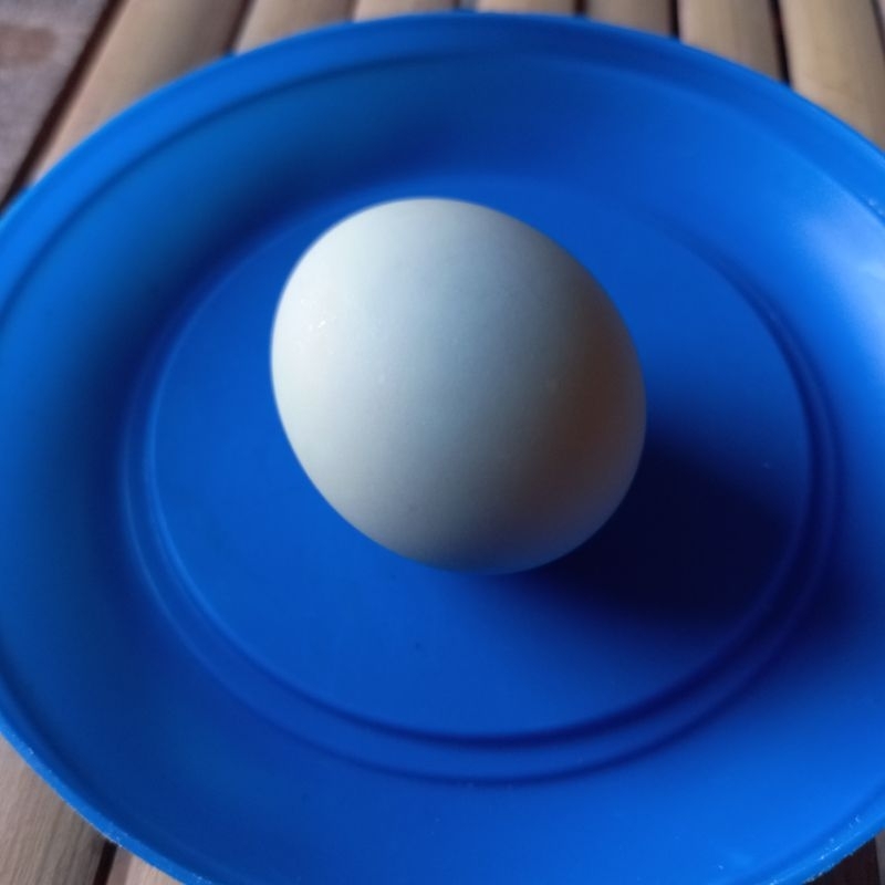 

Telur Asin Gurih Enak