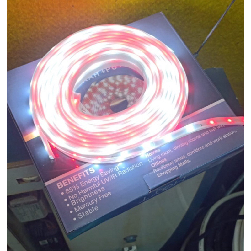 LAMPU SELANG LED MERAH PUTIH LAMPU LED MERAH PUTIH WATERPROOF 220 VOLT OUTDOOR INDOOR