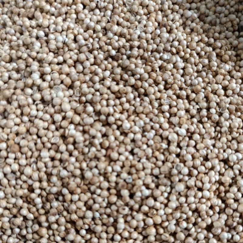 

ketumbar kuning bulat 1kg