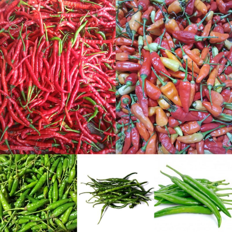 

aneka cabe 100g / cabe merah / cabe rawit / cabe rawit merah / cabe ijo / cabai / cabe fresh / sayur / sayur fresh / sayur bekasi