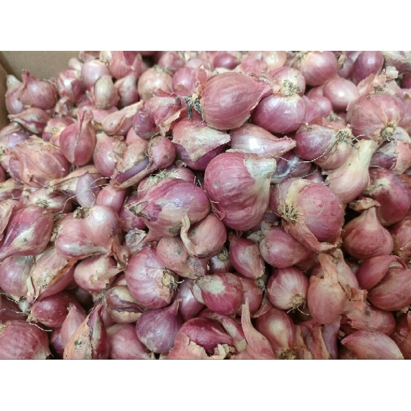 

Bawang merah asli nganjuk 1 kg (fresh baru dtg hari ini)