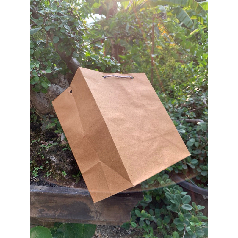 

paperbag uk 20 (R7)