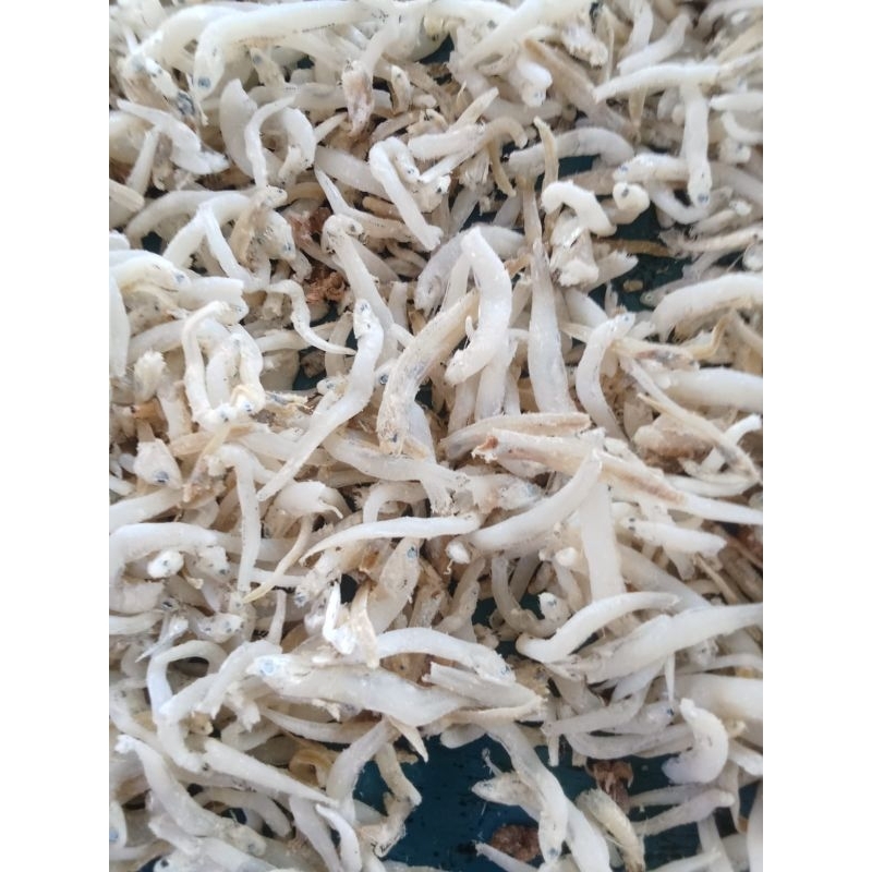 

Teri Nasi Medan Tanjung balai