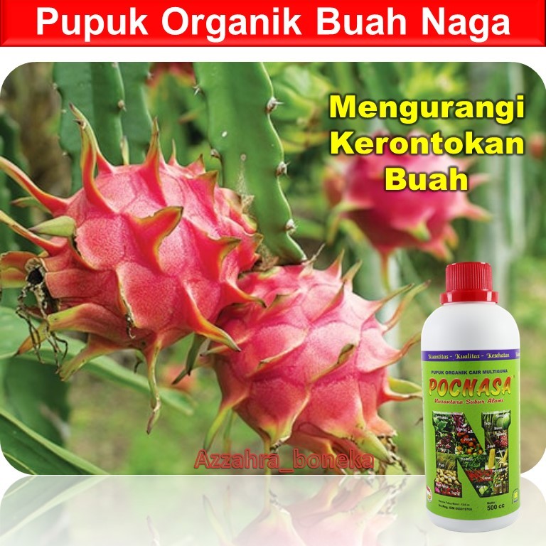 Pupuk Organik Cair Buah Naga Cepat Berbuah / Pupuk Buah Naga Agar Tidak Rontok / Pupuk Pelebat Buah 