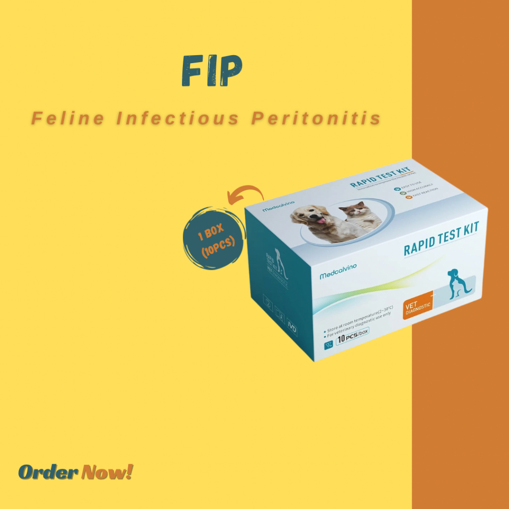 Test Kit FIPV Ab (Feline Infectious Peritonitis)-alat test virus kucing