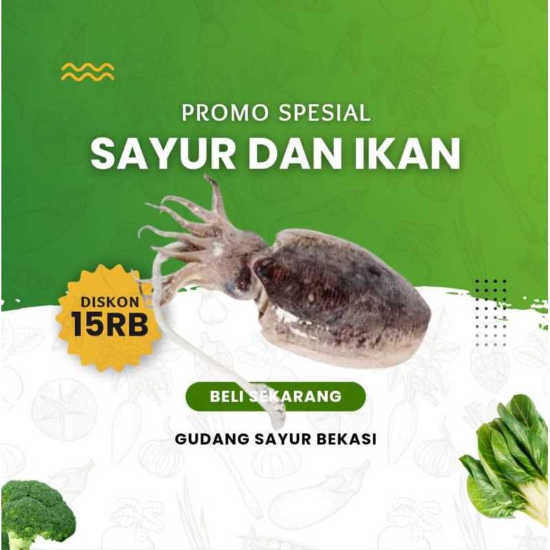 

Sotong Segar 500 gr