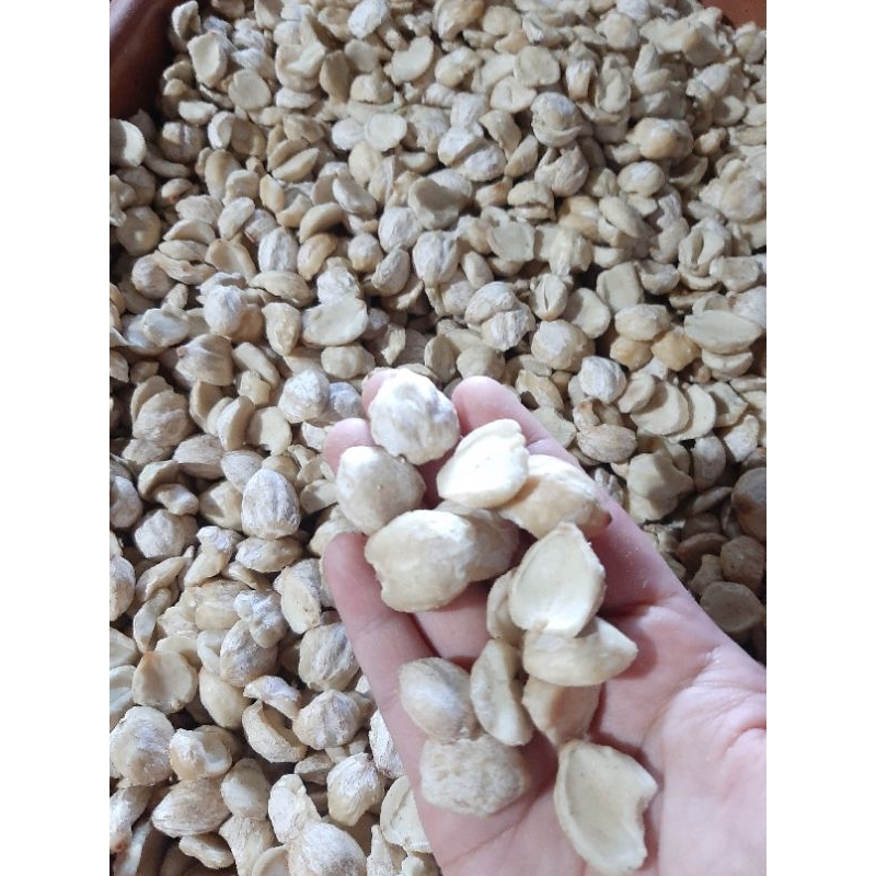 

kemiri pecahan 2 , 1000gr / 1kg