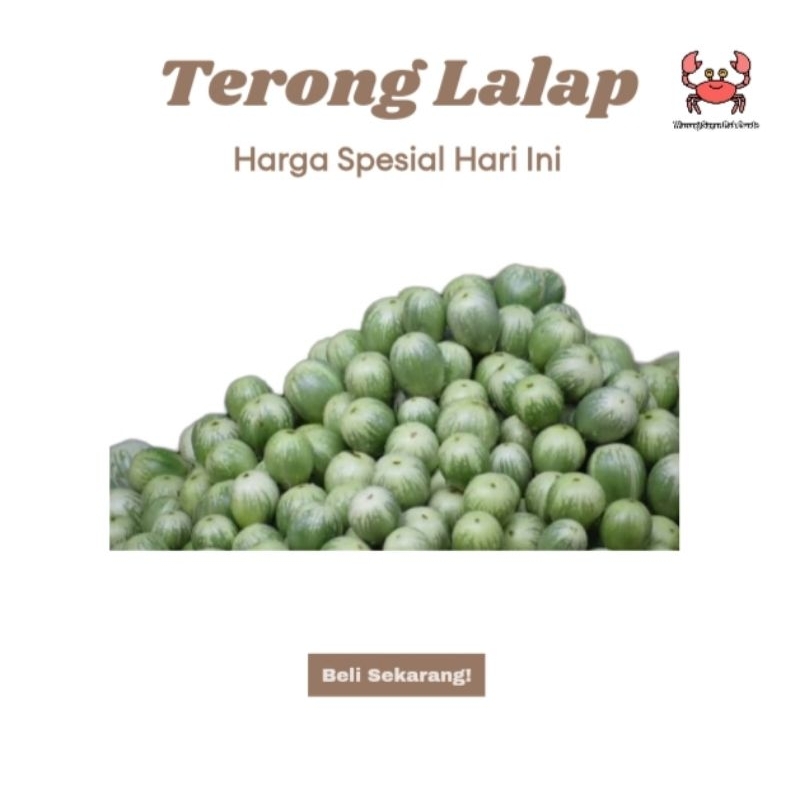 

Terong Bulat (lalap) Premium (Solanum sp.) 250gr