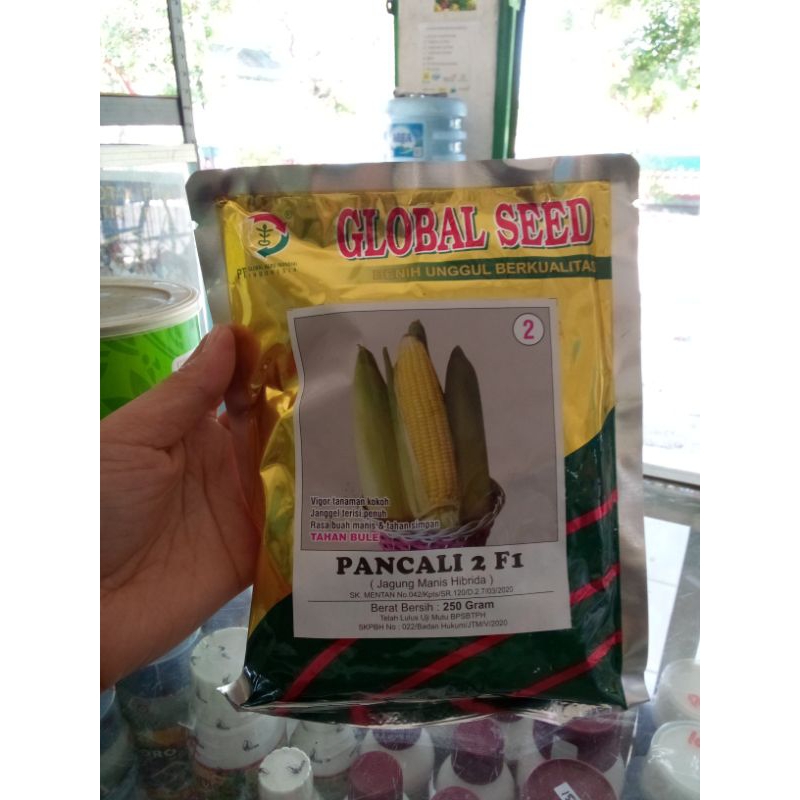 BENIH JAGUNG MANIS HIBRIDA F1 "PANCALI 2" GLOBAL SEED 250GR