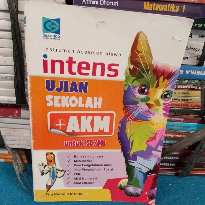 intens ujian sekolah SD AKM