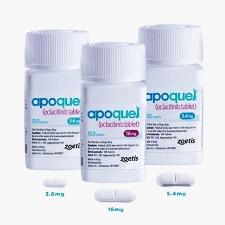 SIAP KIRIM apoquel oclacitinib tablet apoquel dog apoquel dermatitis anti gatal & alergi anjing