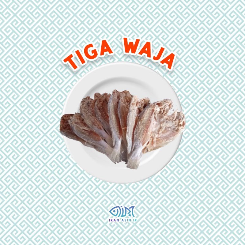 

IKAN ASIN TIGA WAJA