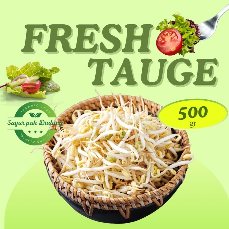 

toge / tauge 500gr fresh