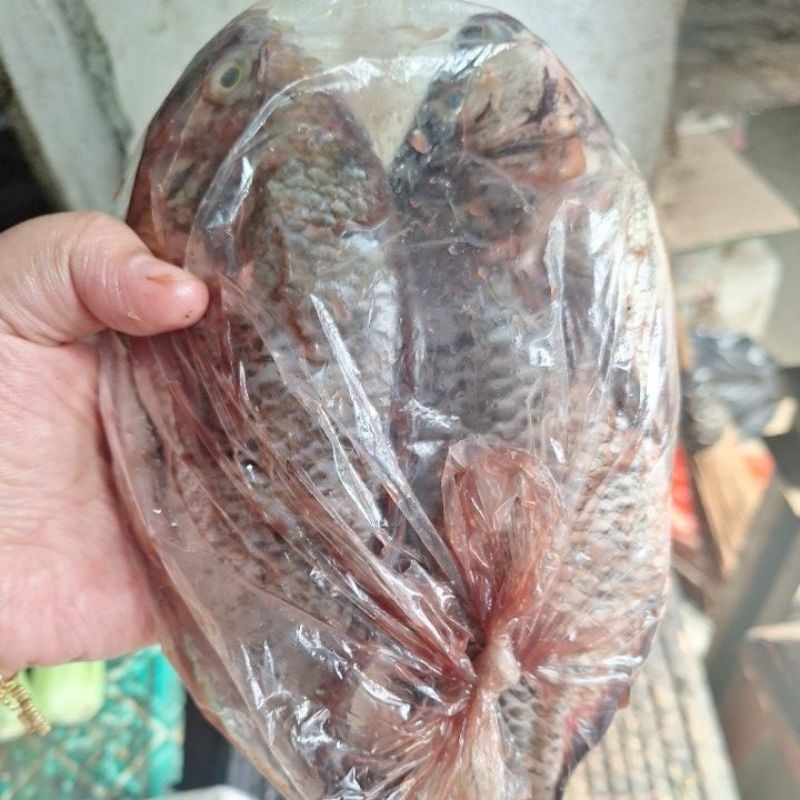 

ikan basah