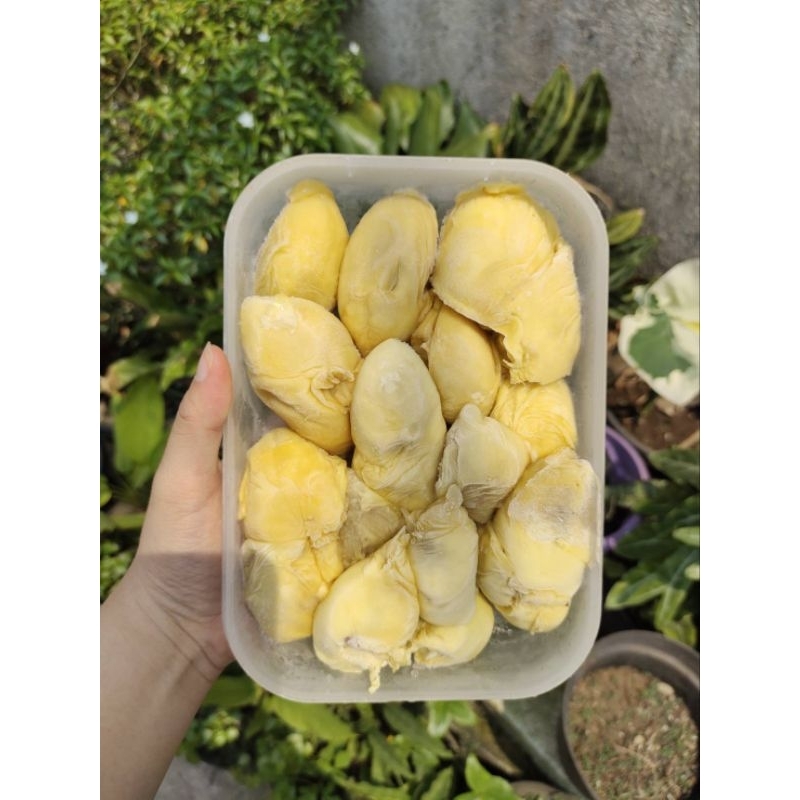 

DURIAN KUPAS PADANG PREMIUM - 500GR