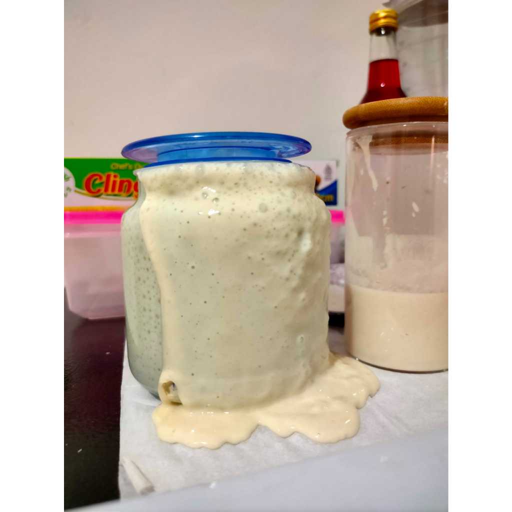 

Starter Sourdough