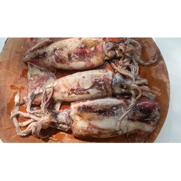 

Cumi Besar/Kondom 1 kg, Pal Merah - JakBar
