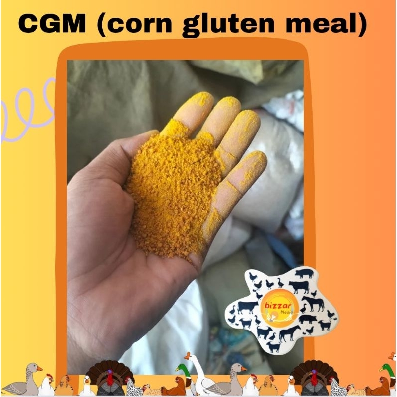 CGM corn gluten meal 1kg siap untuk tambah formula