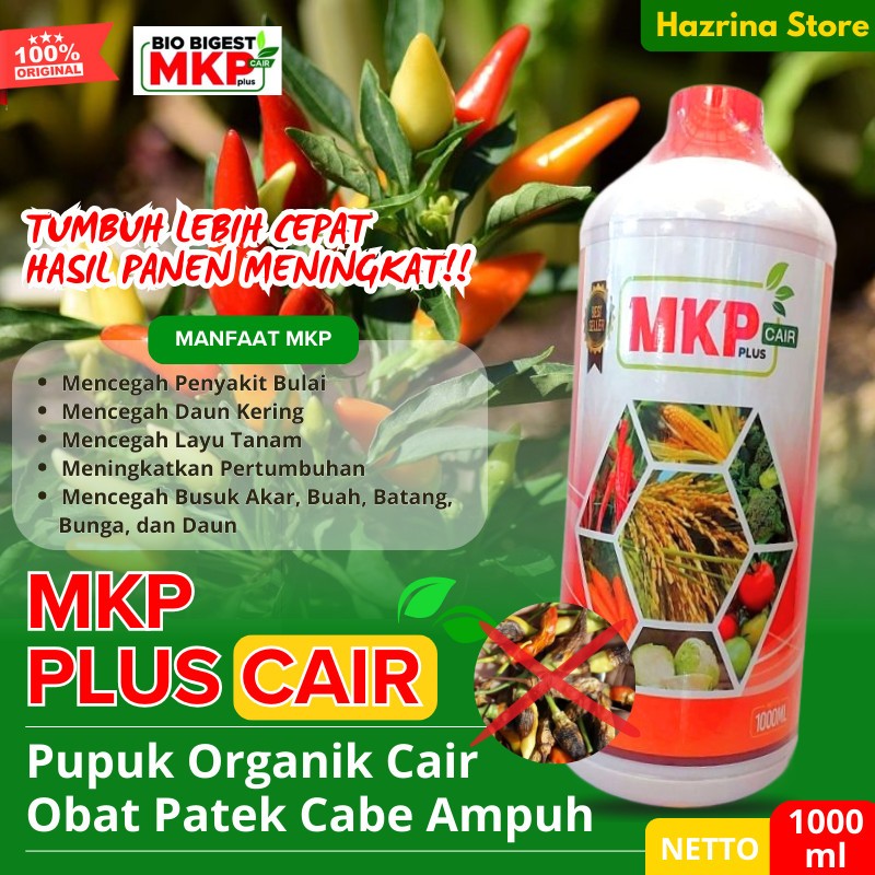 Obat Anti Keriting Daun Cabe Pupuk Anti Patek Cabe Organik Cair