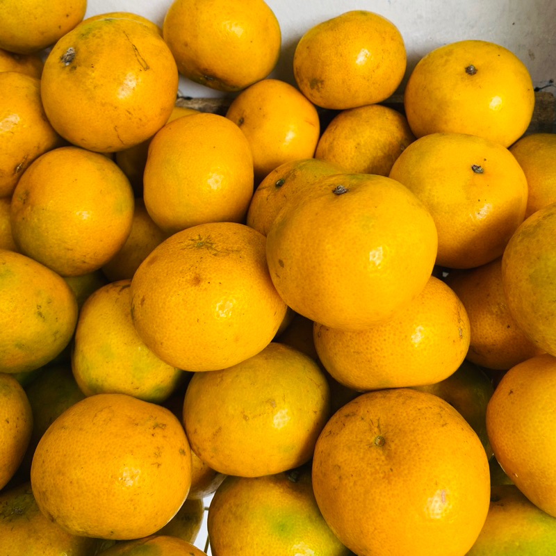 

Buah Jeruk Medan Manis Harga Grosir 1Kg