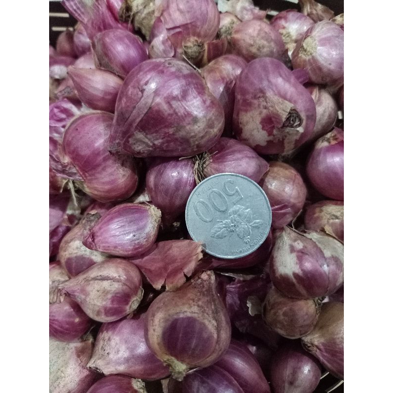 

Bawang Merah Probolinggo 1/2 kg (500gram)