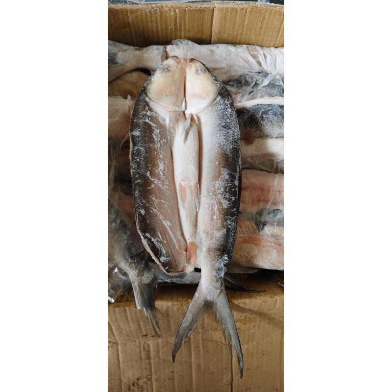 

IkanBandengCabutDuri 1000gr