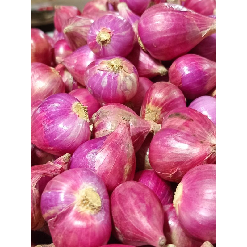 

Bawang Merah Brebes Per Kilo