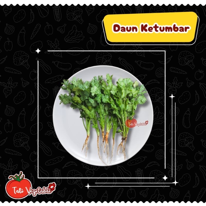 

Daun Ketumbar || Sayuran Segar || Tati Vegetable || Groceries || Grosir
