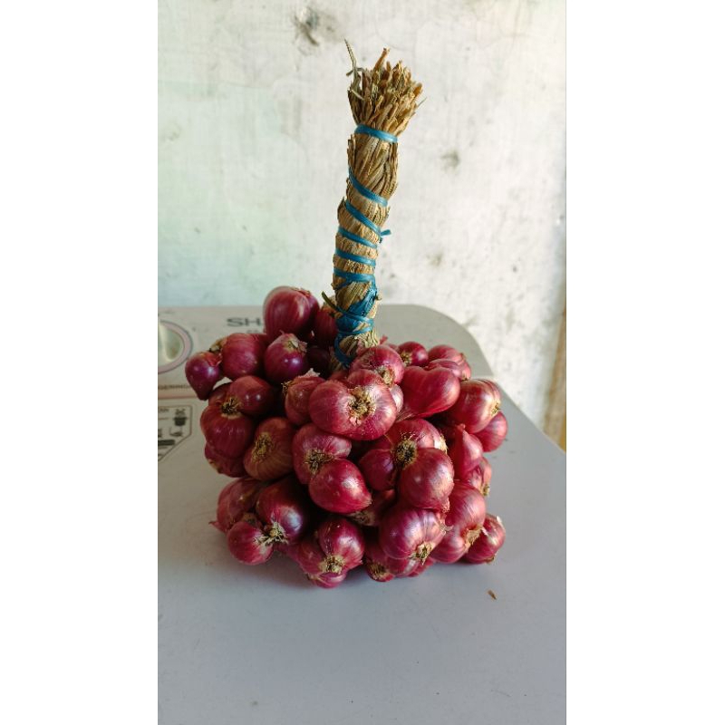 

Bawang Merah Probolinggo untingan asli kota probolinggo
