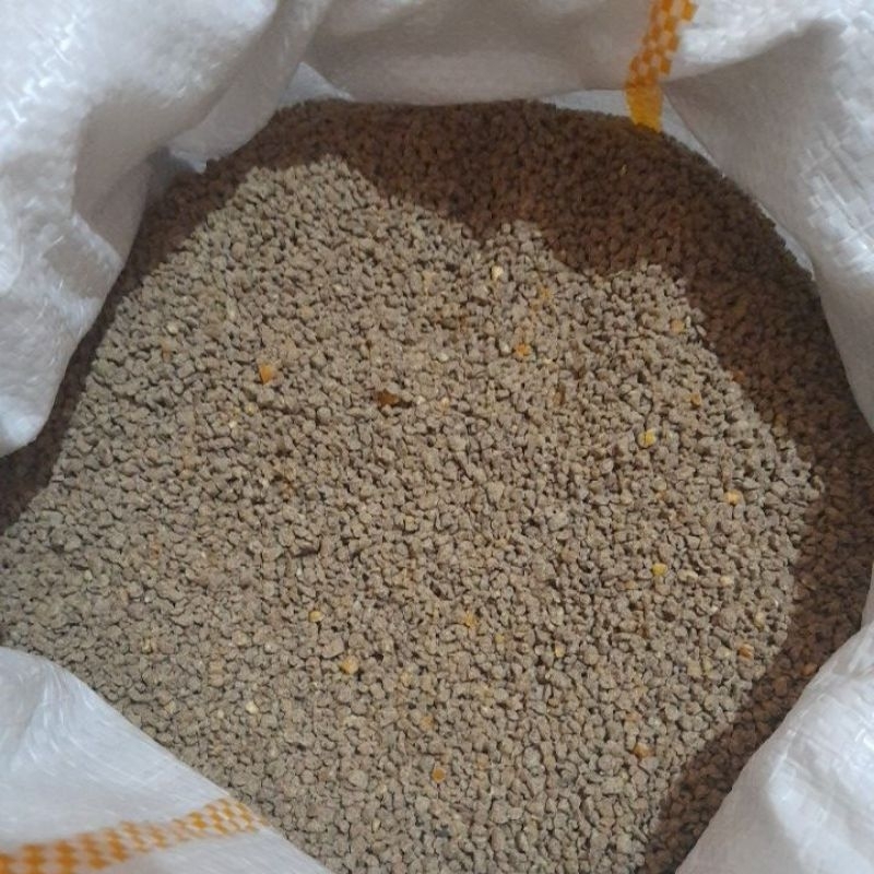 pur ayam atau pakan ayam buras