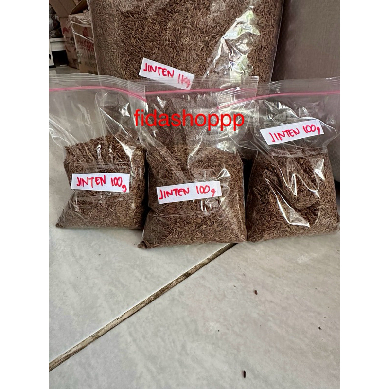 

jintan masak 100 gram jinten caraway poland