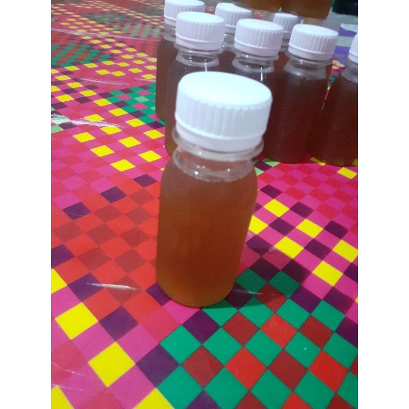 

madu lebah trigona atau kelulut