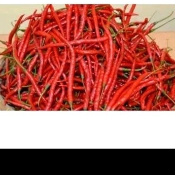 

CABE MERAH 1ONS