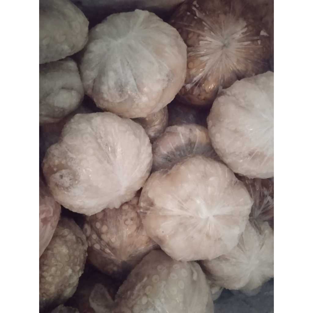 

Gurita Whole Clean Gurita Utuh 1kg isi 3-4 type ball dan flower