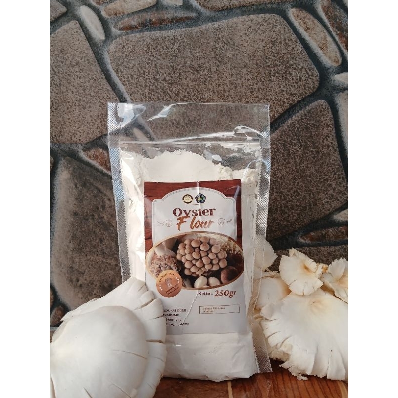 

Mushroom Powder (Tepung jamur tiram putih)