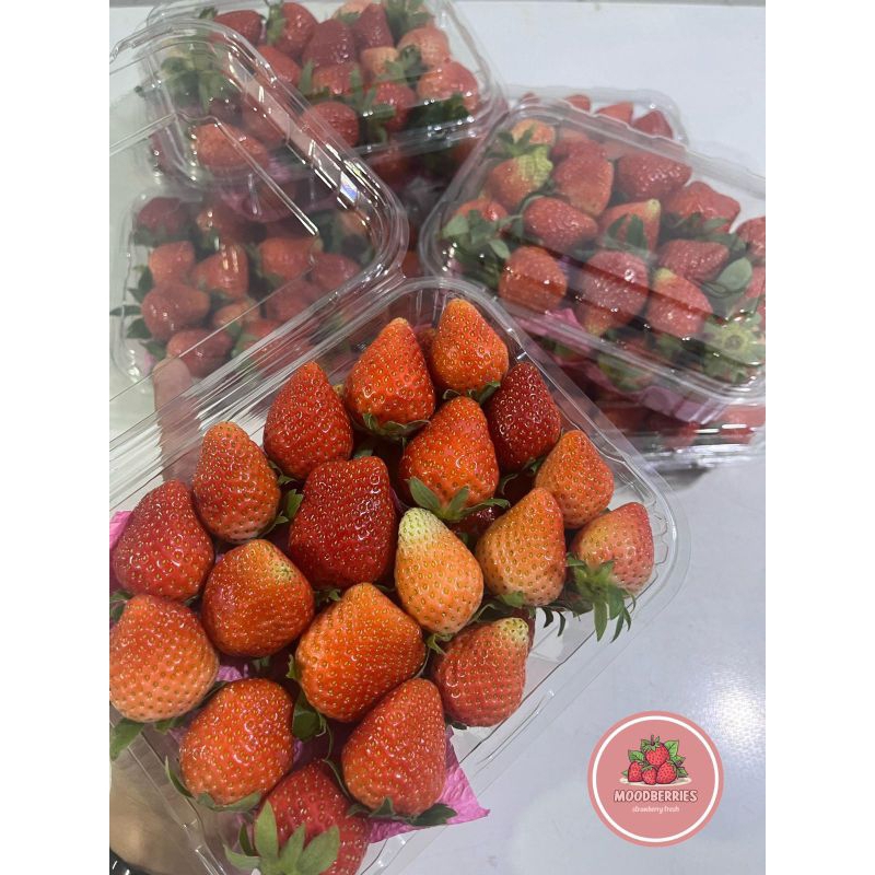 

Strawberry Grade Super - 500 gr | Buah Asli 100 % Fresh