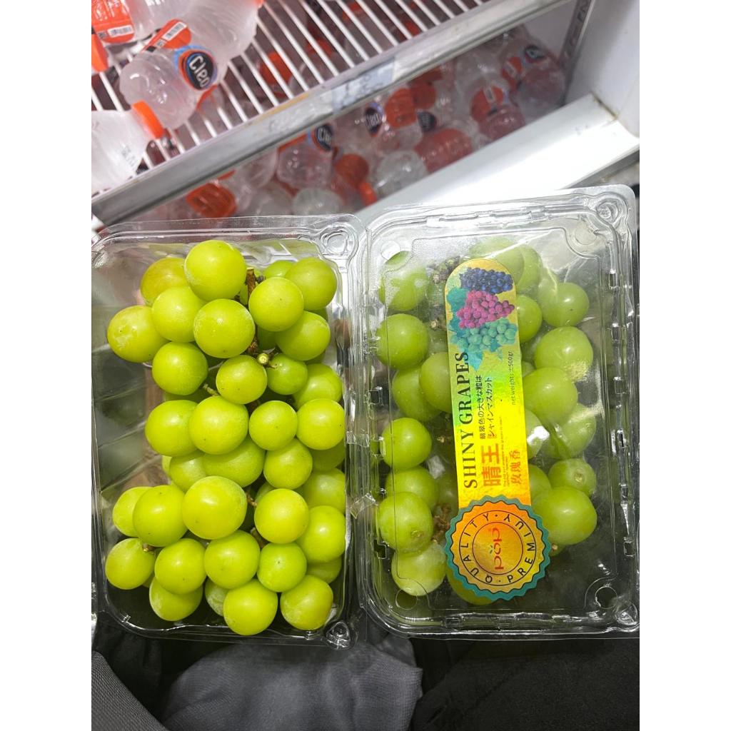 

Anggur Shine Muscat Kemasan 500GR