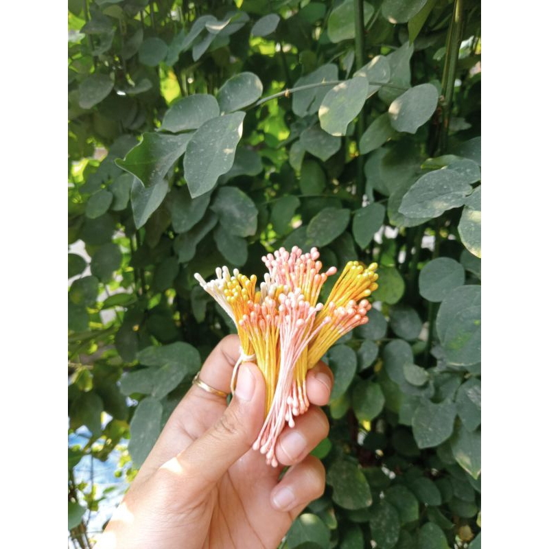 putik bunga 100 pcs/putik sari/putik bunga plastik