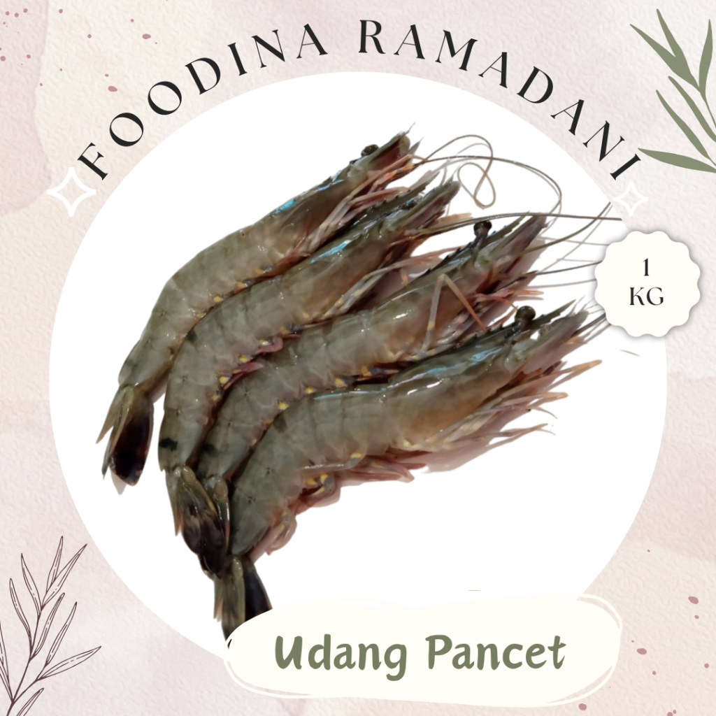 

UDANG PANCET Windu - Shrimp Fresh [ Size S - Berat 1.000gr ] Harga Per KG