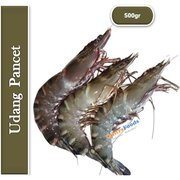 

Udang Pancet - Udang Windu Fresh | Size M/L - 500gr [ Harga Per 0,5 Kg ]