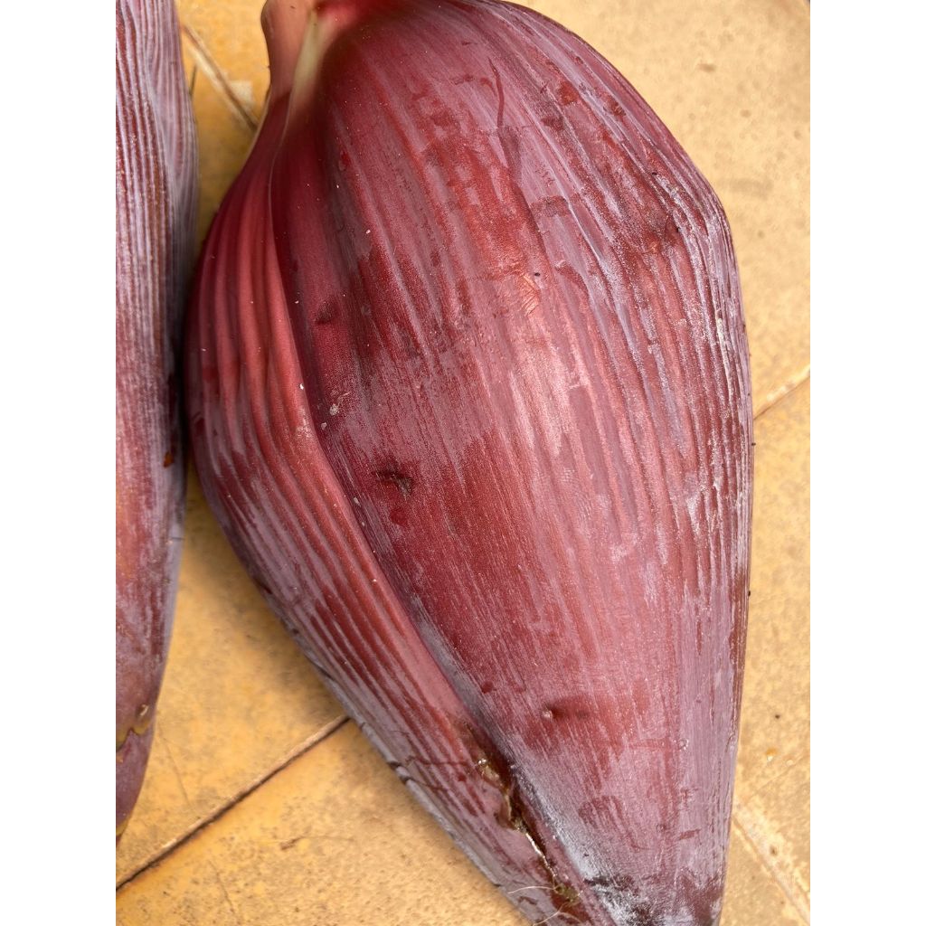 

JANTUNG PISANG FRESH LANGSUNG DARI KEBUN 1 BUAH