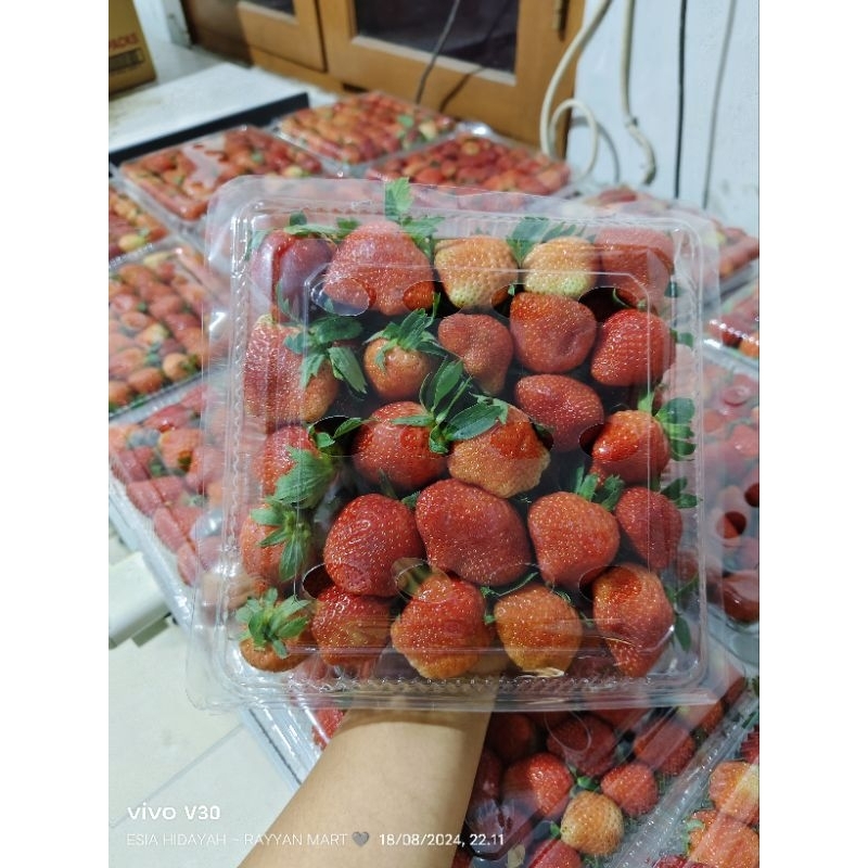 

STRAWBERRY FRESH MIKA kurleb 1 kg