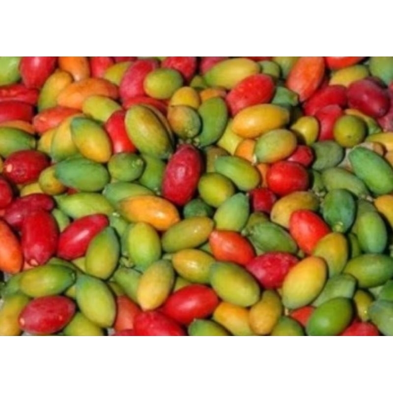 

Tangkil / Buah Melinjo Segar / 250 Gram