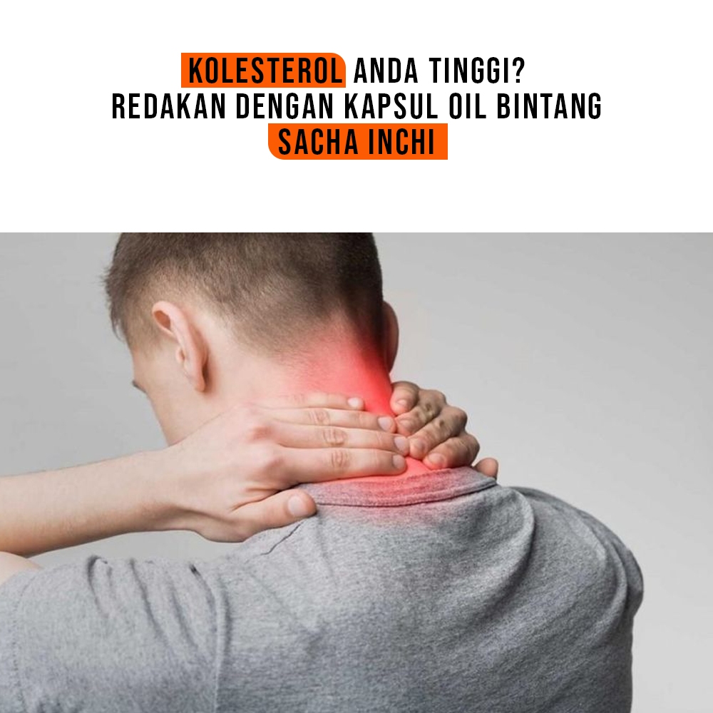 Jual Kapsul Oil Bintang Sacha Inchi Untuk Menurunkan Kolesterol