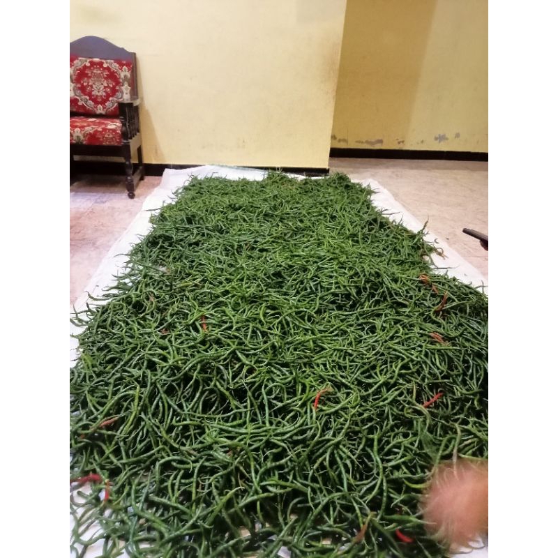 

cabai*cabe*lombok*cabairawit*cabaimerah/hijau*fresh*berkualitas