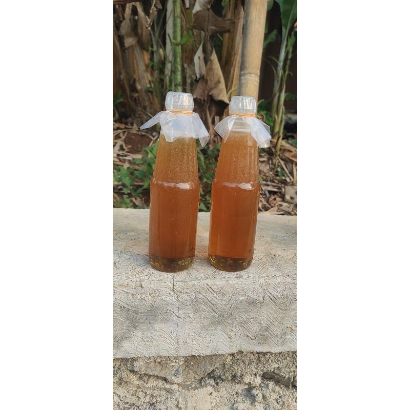 

Madu murni Odeng hutan 250 gr