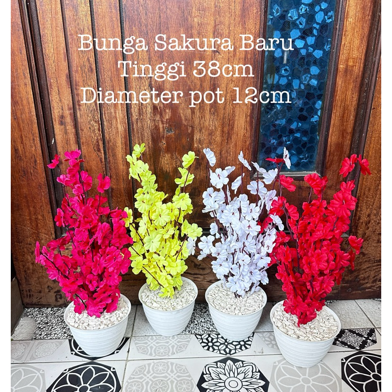Bunga Sakura Rimbun + Pot 12 ( Tinggi 38cm )